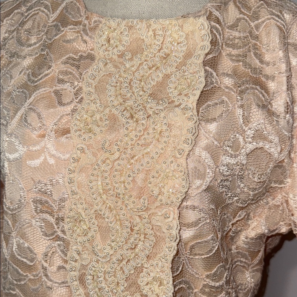 Elegant Lace Overlay Peach Dress Set - Picture 6 of 11